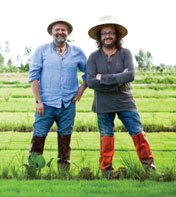 recipes by Hairy Bikers, Si King and Dave Myers