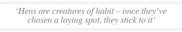 Hens-00-Quote02-590