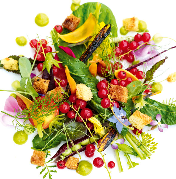 Food-May30-04-590