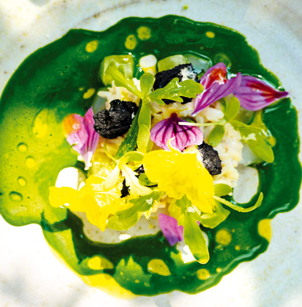 Food-May30-05-590
