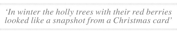 ShortStory-Dec12-02-590-quote